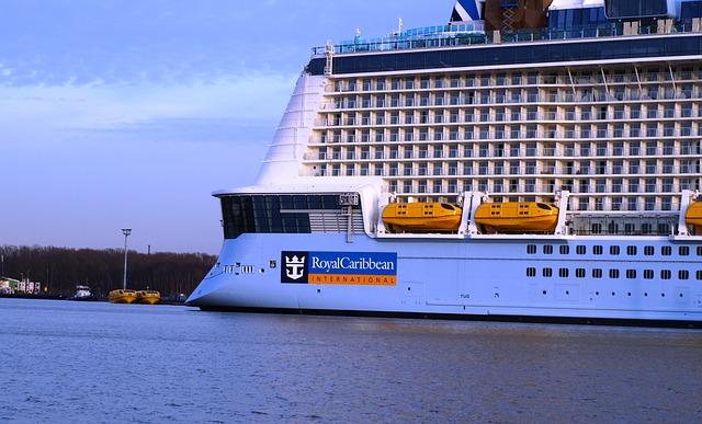 You are currently viewing Royal Caribbean Group setzt die Segel mit aktualisierter Corporate Identity