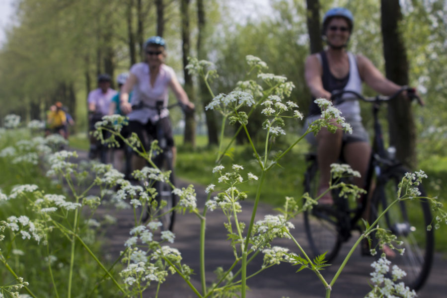 durch die Natur fahren